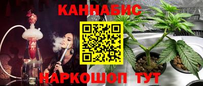 PSILOCYBIN Пушкино
