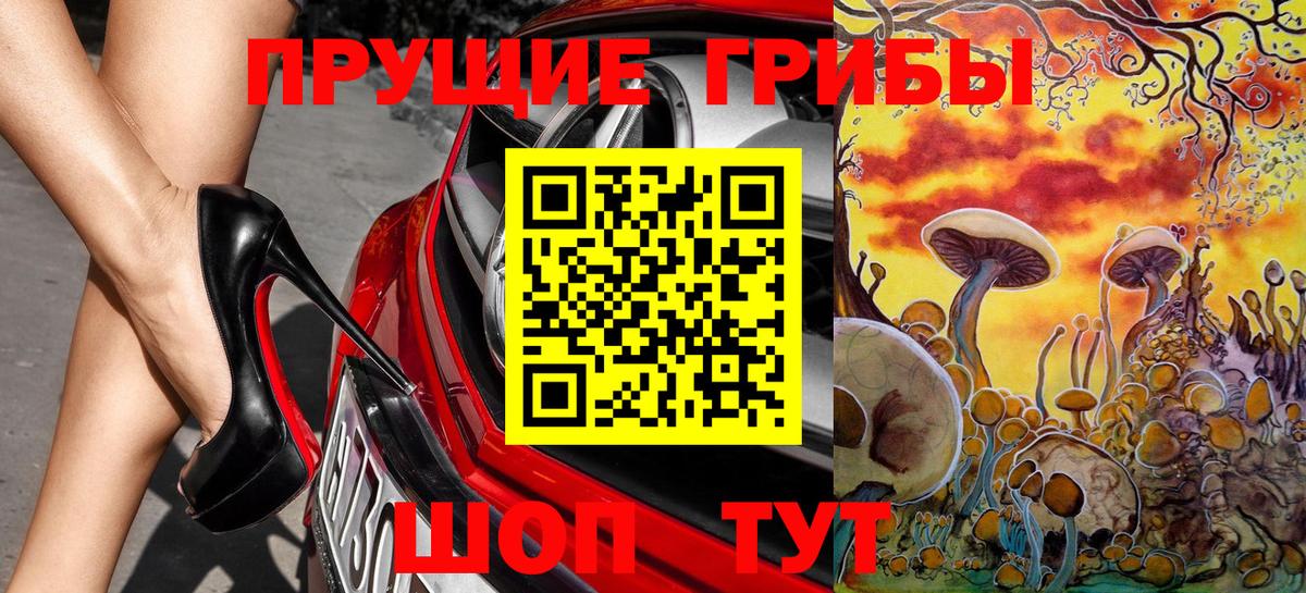 Северобайкальск  Галлюциногенные грибы Psilocybine cubensis  Вход с VPN 